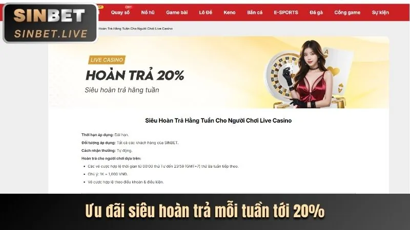 Giao diện dễ dùng